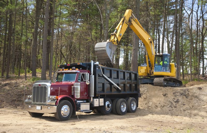 Excavators complete digging tasks quickly.